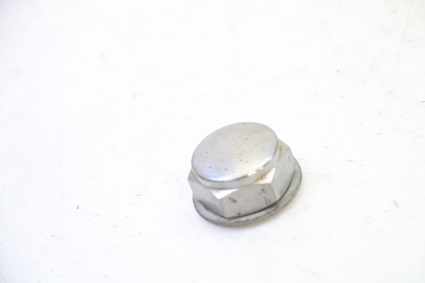 photo de DADO DELLA PIASTRA FORCELLA SKYTEAM DAX REPLICA 110 (2005 - 2015) - Dettaglio del componente