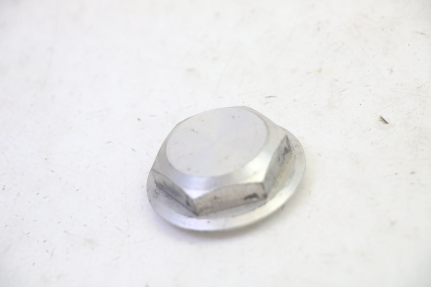 photo de DADO DELLA PIASTRA FORCELLA YAMAHA FJR ABS 1300 (2006 - 2012) - Vista principale