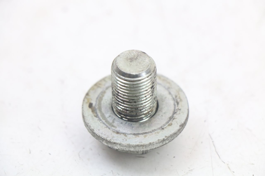 photo de DADO DELLA PIASTRA FORCELLA HARLEY DAVIDSON SPORTSTER XL CUSTOM 883 (1999 - 2006) - Altra angolazione