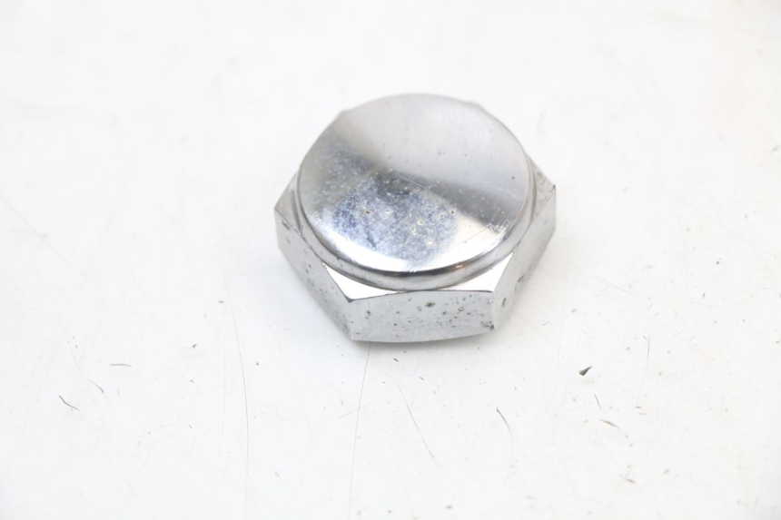 photo de DADO DELLA PIASTRA FORCELLA REGAL RAPTOR SPYDER 125 (2010 - 2018) - Vista principale