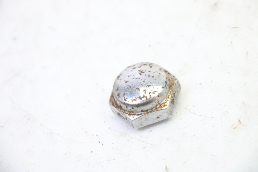 photo de DADO DELLA PIASTRA FORCELLA TRIUMPH SPRINT 900 (1995 - 1998) - Vista principale