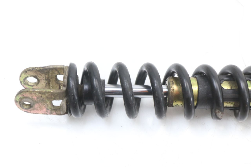 photo de AMMORTIZZATORE POSTERIORE TNT MOTOR ROMA 10' 4T 50 (2019 - 2022) - Primo piano tecnico