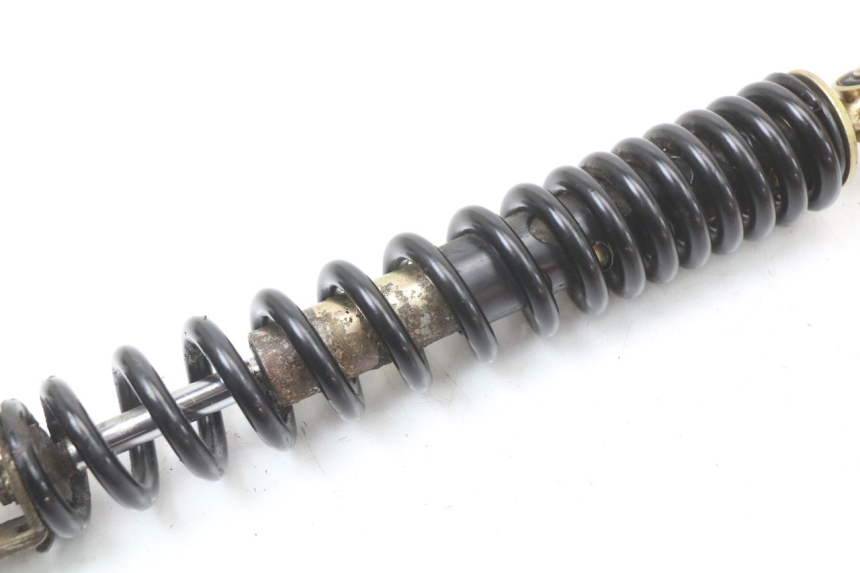 photo de AMMORTIZZATORE POSTERIORE TNT MOTOR ROMA 10' 4T 50 (2019 - 2022) - Primo piano tecnico