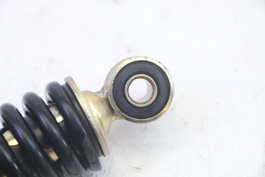 photo de AMMORTIZZATORE POSTERIORE TNT MOTOR ROMA 10' 4T 50 (2019 - 2022) - Primo piano tecnico