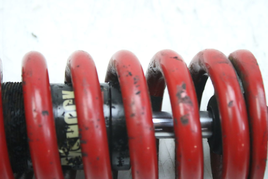 photo de AMMORTIZZATORE POSTERIORE TRIUMPH SPRINT ST 955 (1999 - 2001) - Primo piano tecnico