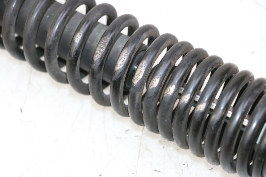 photo de AMMORTIZZATORE POSTERIORE PEUGEOT TWEET PRO CARGO 50 (2018 - 2022) - Vista d'insieme del prodotto