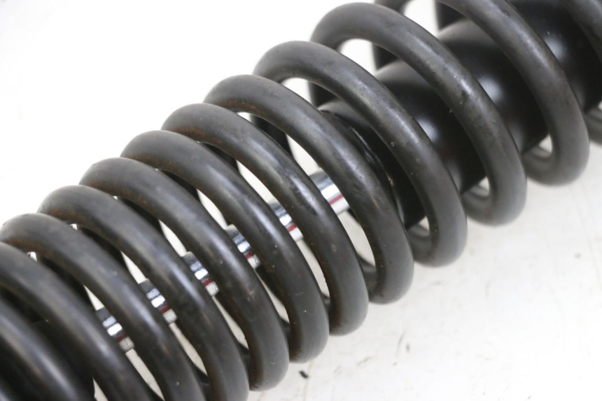 photo de AMMORTIZZATORE POSTERIORE PEUGEOT TWEET PRO EFI 4T 50 (2021 - 2022) - Altra angolazione