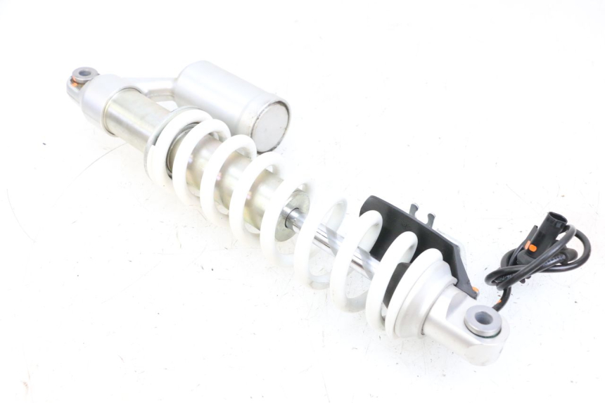 photo de AMMORTIZZATORE ANTERIORE BMW R GS 1250 (2021 - 2024) - Vista principale