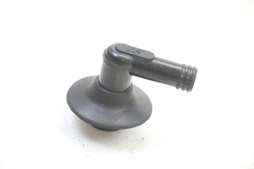 photo de ANTIPARASITA PEUGEOT KISBEE 2T 50 (2010 - 2017) - Vista principale