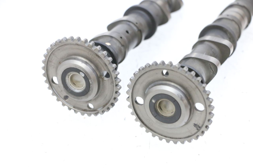 photo de ALBERO CAMME SUZUKI BURGMAN EXECUTIVE ABS 650 (2006 - 2012) - Ispezione visiva dettagliata