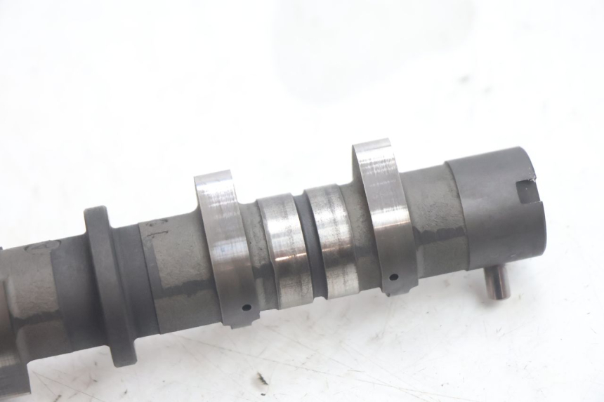 photo de ALBERO CAMME SUZUKI BURGMAN EXECUTIVE ABS 650 (2006 - 2012) - Caratteristiche distintive