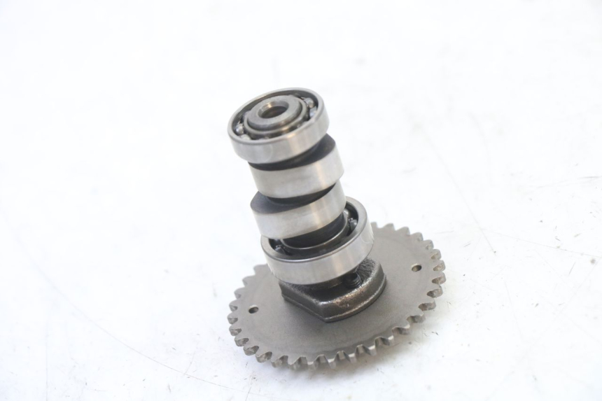 photo de ALBERO CAMME PEUGEOT KISBEE 4T 50 (2018 - 2022) - Primo piano tecnico