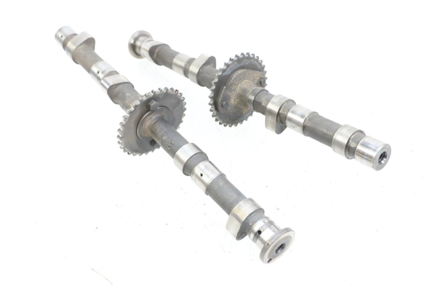 photo de ALBERO CAMME YAMAHA XJ F 900 (1983 - 1994) - Marcature e riferimenti originali