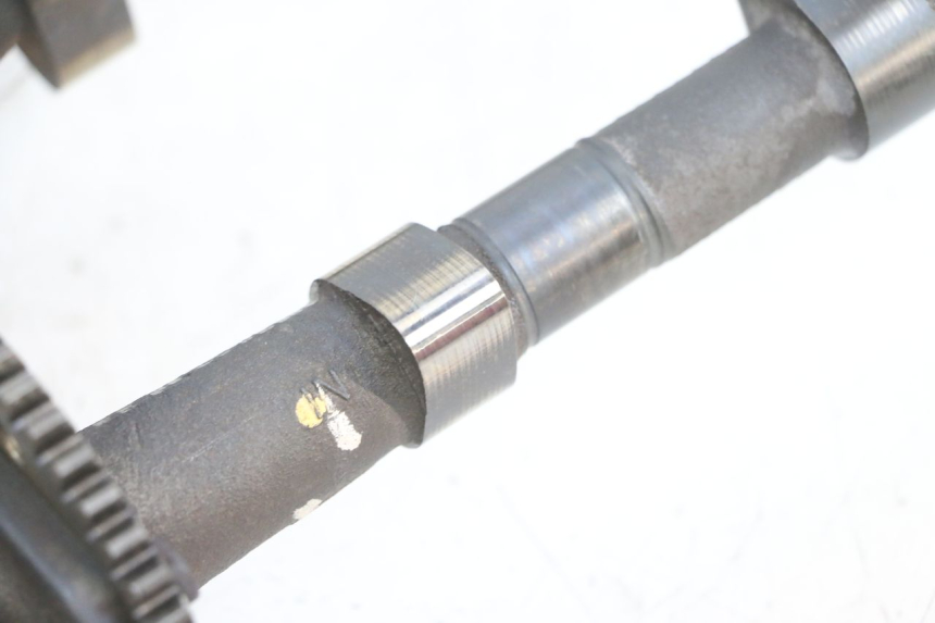 photo de ALBERO CAMME KAWASAKI ZR 7 750 (1999 - 2004) - Marcature e riferimenti originali