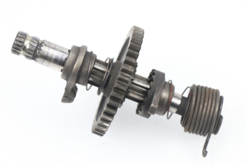 photo de Albero del kick SUZUKI DR DJEBEL 600 (1985 - 1990) - Vista principale