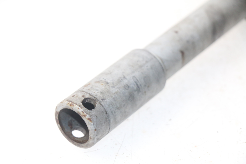 photo de ASSE HONDA NSS EX FORZA 250 (2005 - 2013) - Altra angolazione