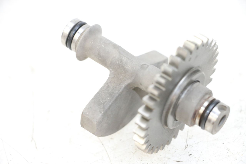 photo de SUPPORTO MOTORE SHERCO CITY CORP 125 (2003 - 2007) - Vista principale