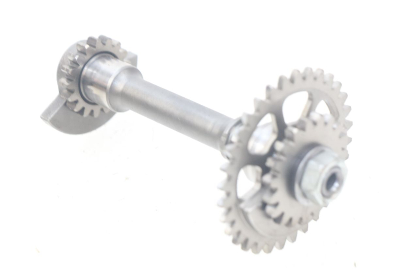 photo de BILANCIERE MOTORE HONDA CRF 250 (2016 - 2017) - Vista principale