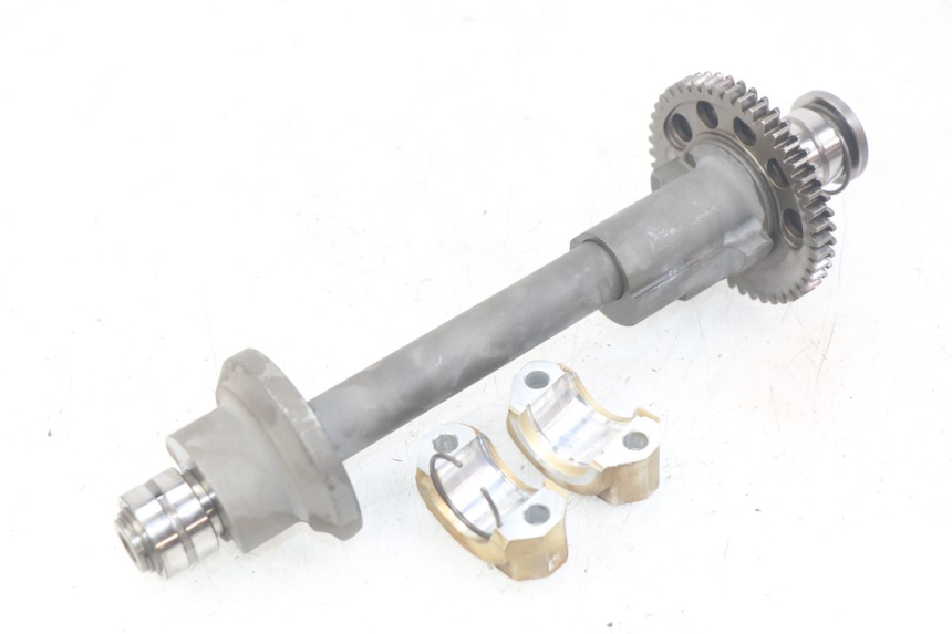 photo de BILANCIERE MOTORE TRIUMPH SPRINT ST 955 (1999 - 2001) - Stato della superficie e materiale