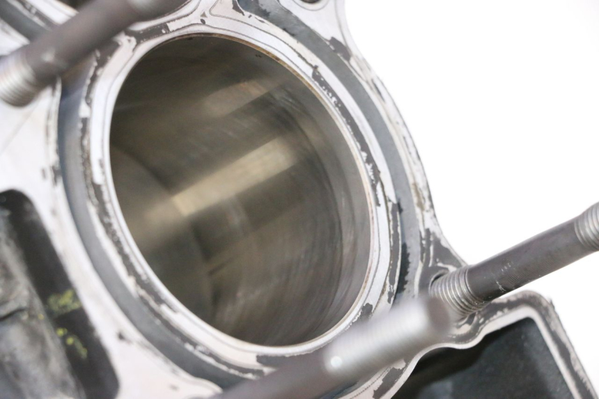 photo de BASAMENTO MOTORE YAMAHA YZF R6 600 (2008 - 2009) - Caratteristiche distintive