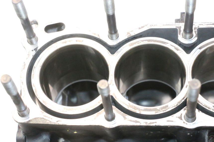 photo de BASAMENTO MOTORE YAMAHA YZF R6 600 (2008 - 2009) - Zoom sui componenti