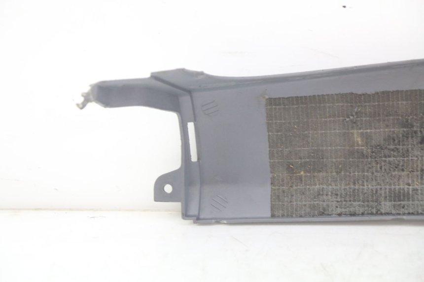 photo de BASSO DELLA SCATOLA POSTERIORE DESTRA HONDA FES PANTHEON 2T 125 (1998 - 2002) - Zoom sullo stato d'uso