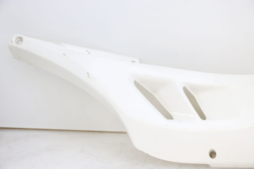 photo de BASSO DELLA SCATOLA DESTRA JONWAY AZTRAL 125 (2008 - 2017) - Caratteristiche distintive