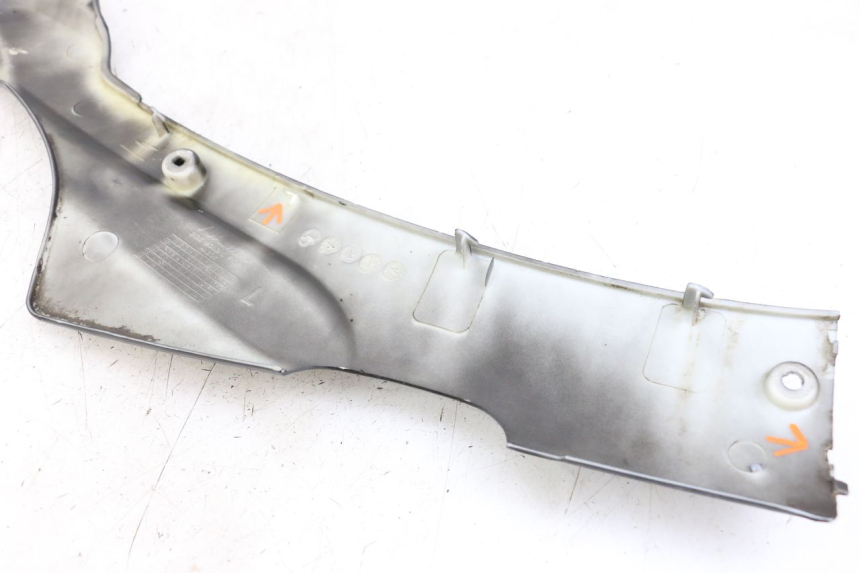 photo de Fiancata sinistra LONGJIA DIGITA 4T 50 (2019 - 2022) - Primo piano tecnico