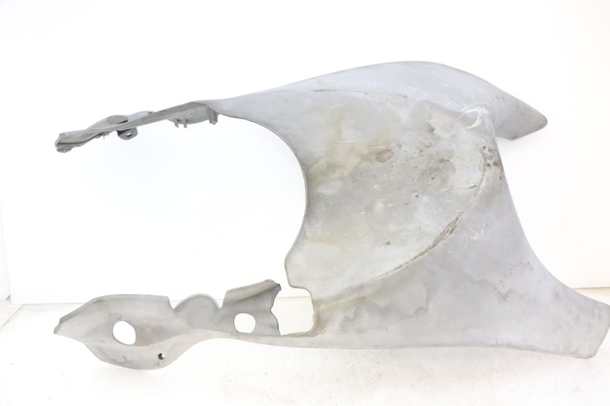 photo de FIANCHETTI INFERIORE PIAGGIO X9 EVOLUTION 125 (2003 - 2007) - Vista principale