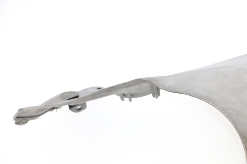 photo de FIANCHETTI INFERIORE PIAGGIO X9 EVOLUTION 125 (2003 - 2007) - Panoramica del profilo