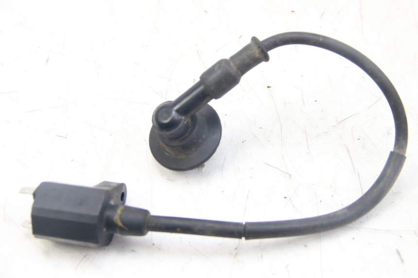 photo de BOBINA PGO BIG MAX 50 (2001 - 2009) - Vista principale