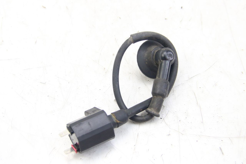 photo de BOBINA PGO BIG MAX 50 (2001 - 2009) - Dettaglio del componente