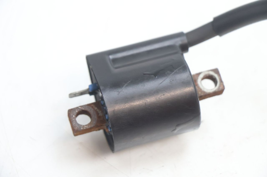 photo de BOBINA MBK BOOSTER SPIRIT 50 (1996 - 1999) - Dettaglio del componente