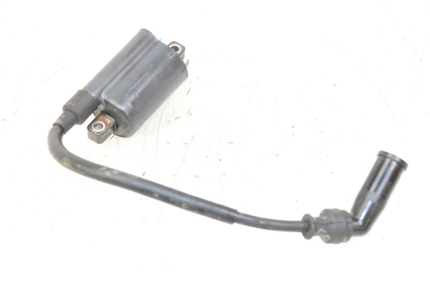 photo de BOBINA SUZUKI BURGMAN 125 (2007 - 2014) - Vista principale