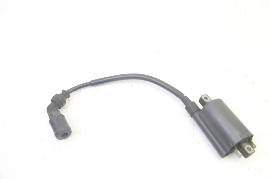 photo de BOBINA SUZUKI BURGMAN 125 (2007 - 2014) - Altra angolazione