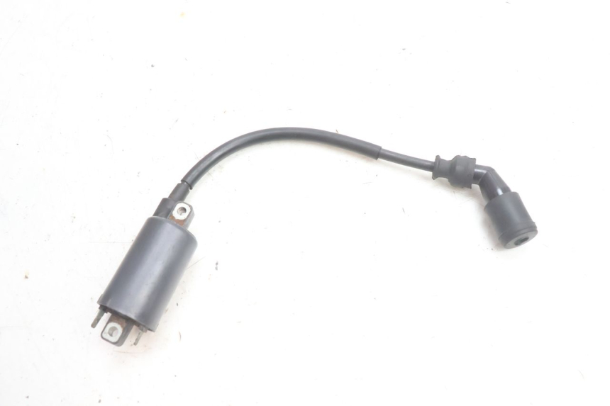 photo de BOBINA SUZUKI BURGMAN 125 (2007 - 2014) - Vista principale