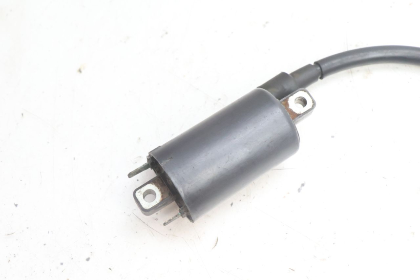 photo de BOBINA SUZUKI BURGMAN 125 (2007 - 2014) - Dettaglio del componente