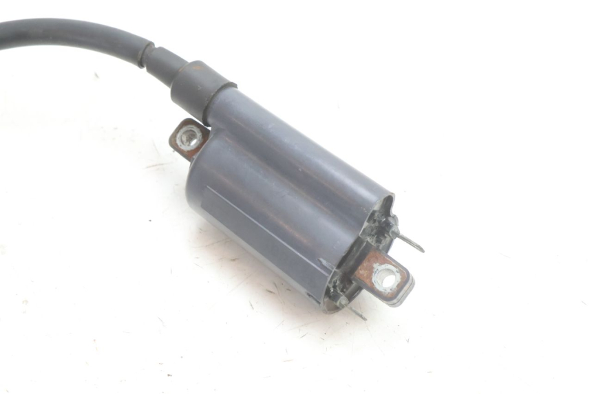 photo de BOBINA SUZUKI BURGMAN 125 (2007 - 2014) - Stato della superficie e materiale