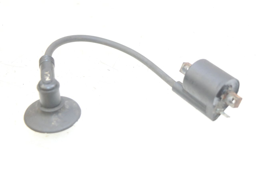 photo de BOBINA YAMAHA BW'S EASY 50 (2013 - 2016) - Dettaglio del componente