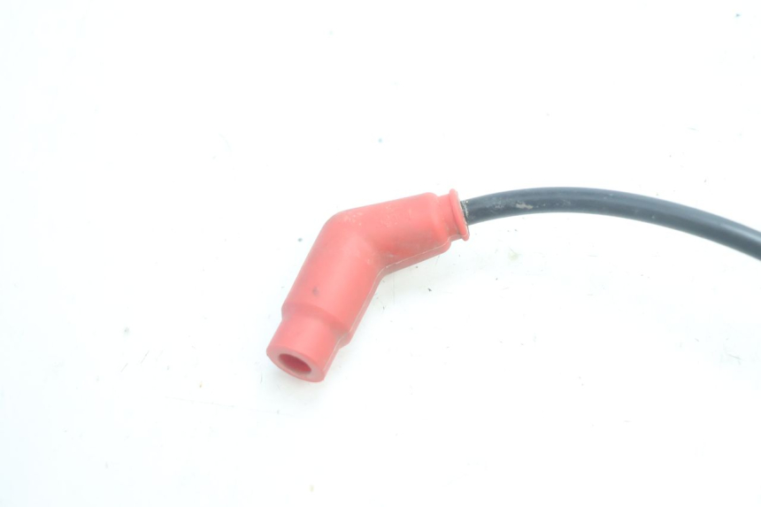 photo de BOBINA HONDA CRF CR-F 125 (2020 - 2021) - Dettaglio del componente