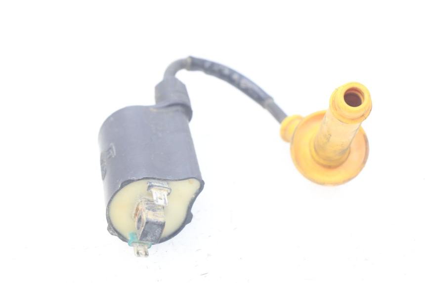 photo de BOBINA HONDA CRF 250 (2013 - 2016) - Dettaglio del componente