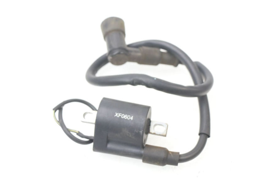 photo de Bobina CHINESE QUAD DIAMOND R 250 (2005 - 2010) - Dettaglio del componente