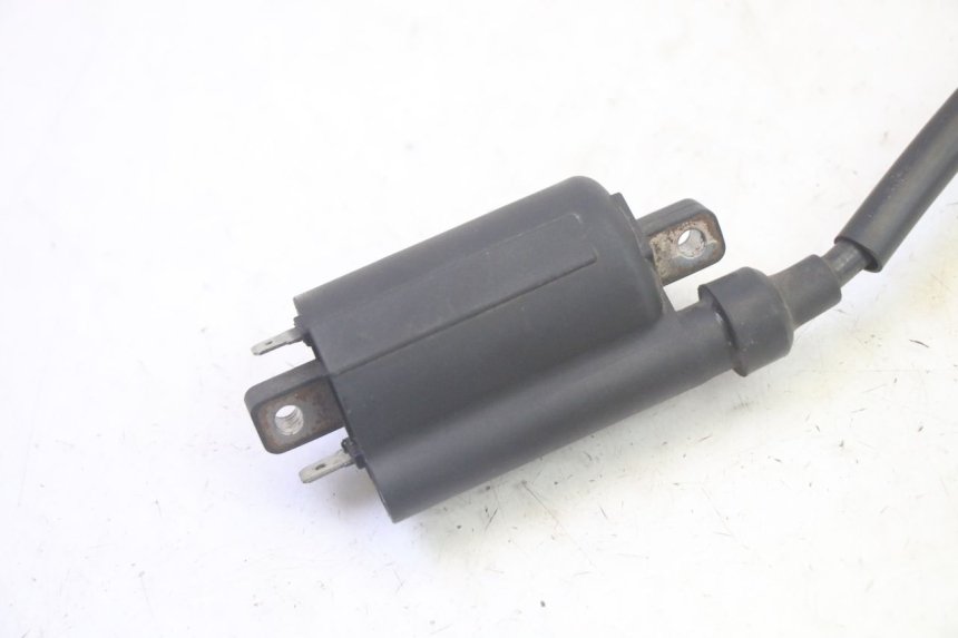 photo de BOBINA PEUGEOT DJANGO 4T 50 (2014 - 2019) - Dettaglio del componente