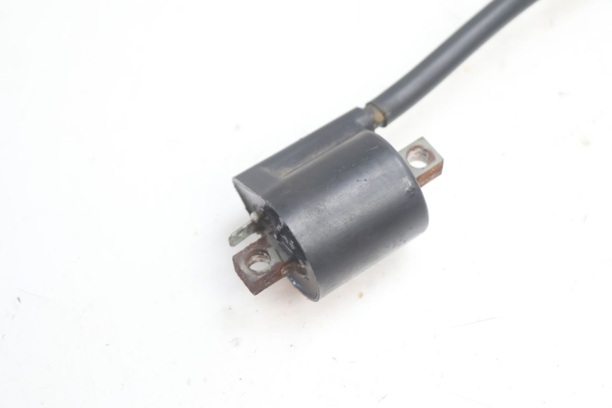 photo de BOBINA MBK EVOLIS 80 (1993 - 1999) - Dettaglio del componente