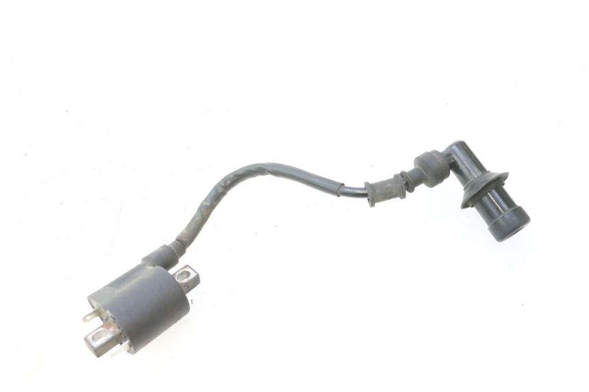 photo de BOBINA JM MOTORS F45i 4T 50 (2020 - 2023) - Vista principale