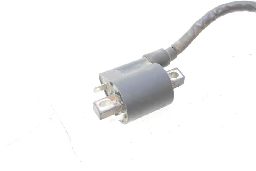photo de BOBINA JM MOTORS F45i 4T 50 (2020 - 2023) - Dettaglio del componente