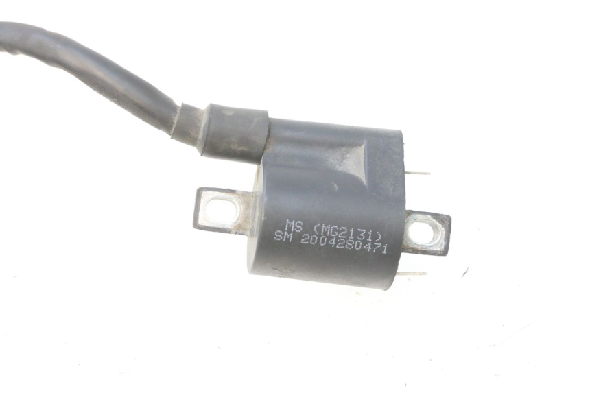 photo de BOBINA JM MOTORS F45i 4T 50 (2020 - 2023) - Vista d'insieme del prodotto
