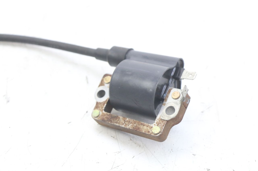 photo de BOBINA HONDA FES PANTHEON 2T 125 (1998 - 2002) - Dettaglio del componente