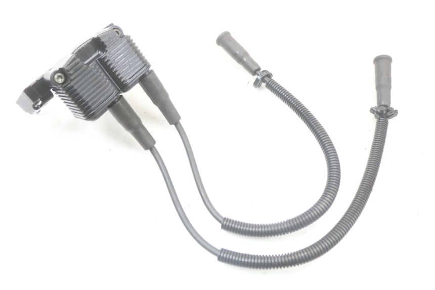 photo de BOBINA HARLEY DAVIDSON SPORTSTER XL CUSTOM 883 (1999 - 2006) - Vista principale