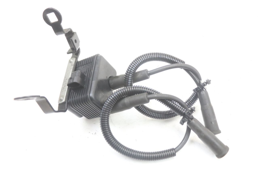 photo de BOBINA HARLEY DAVIDSON SPORTSTER XL CUSTOM 883 (1999 - 2006) - Ricambio usato controllato